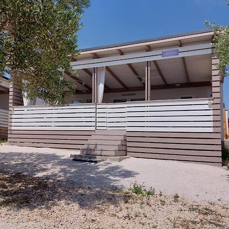 Mobile Home Whit Sea View Lavojesa Drage Exterior photo